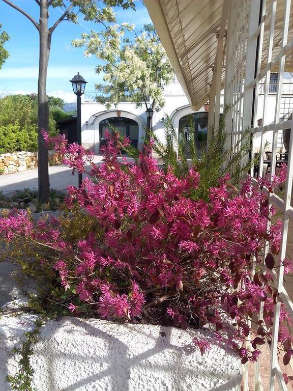 Locanda Dell'Asino D'Oro Villa Sulmona Eksteriør bilde
