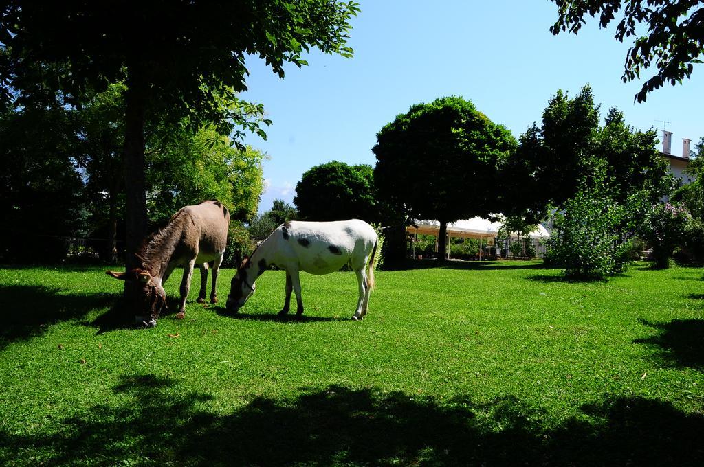 Locanda Dell'Asino D'Oro Villa Sulmona Eksteriør bilde